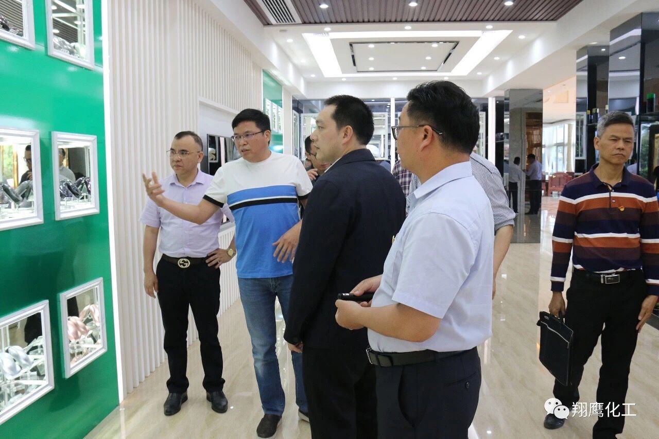 熱烈歡迎“清遠市英德市”兩級人民政府主要領(lǐng)導一行蒞臨我司
